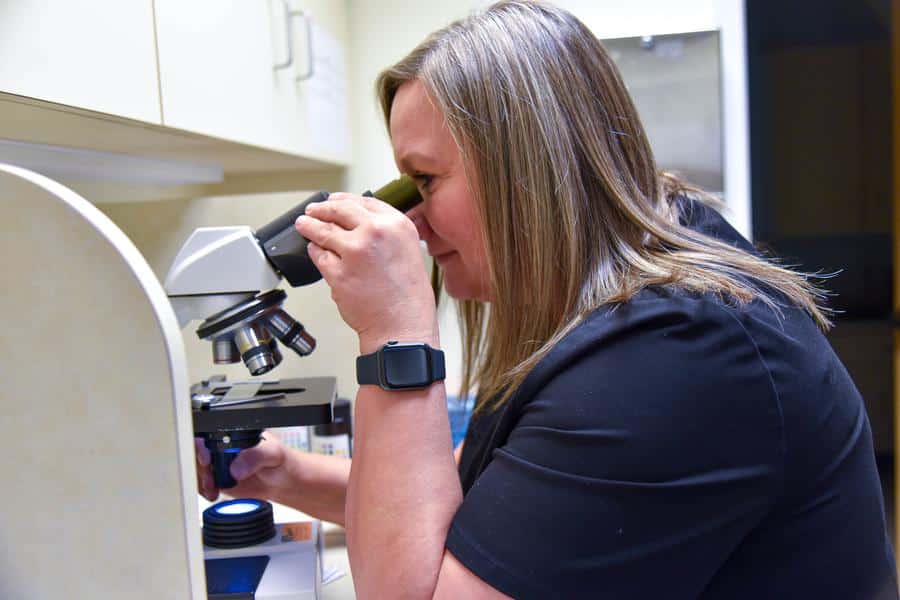 Lab services and mammography