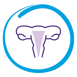 Novasure icon
